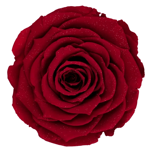 BONITA Preserved Roses Diamond - Pack 1 - BMade