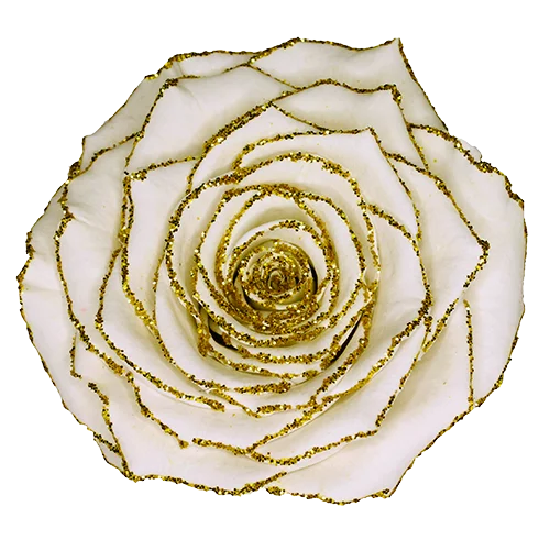 XL Preserved Roses Glitter - Pack of 6 - BMade