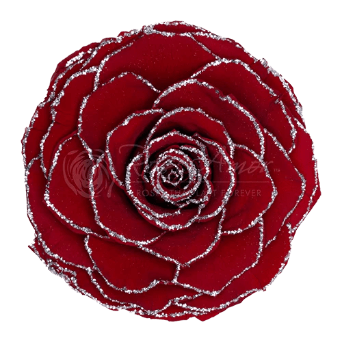 BELLA Preserved Roses Glitter - Pack 4 - BMade
