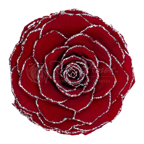 BELLA Preserved Roses Glitter - Pack 4