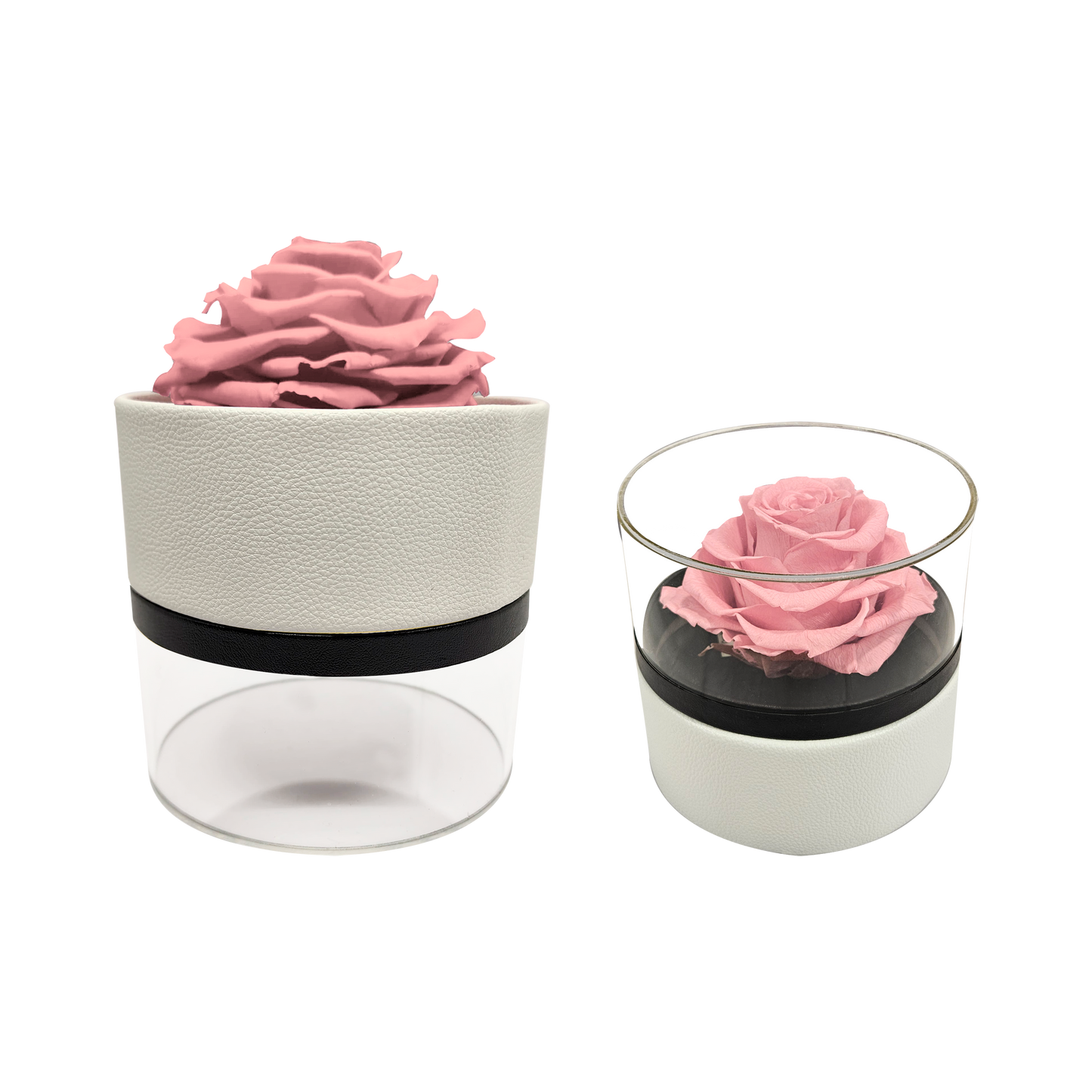 Luxury 1 Jumbo Preserved Rose in Round Box with Acrylic Top | Elegant Floral Arrangement for Special Occasions
