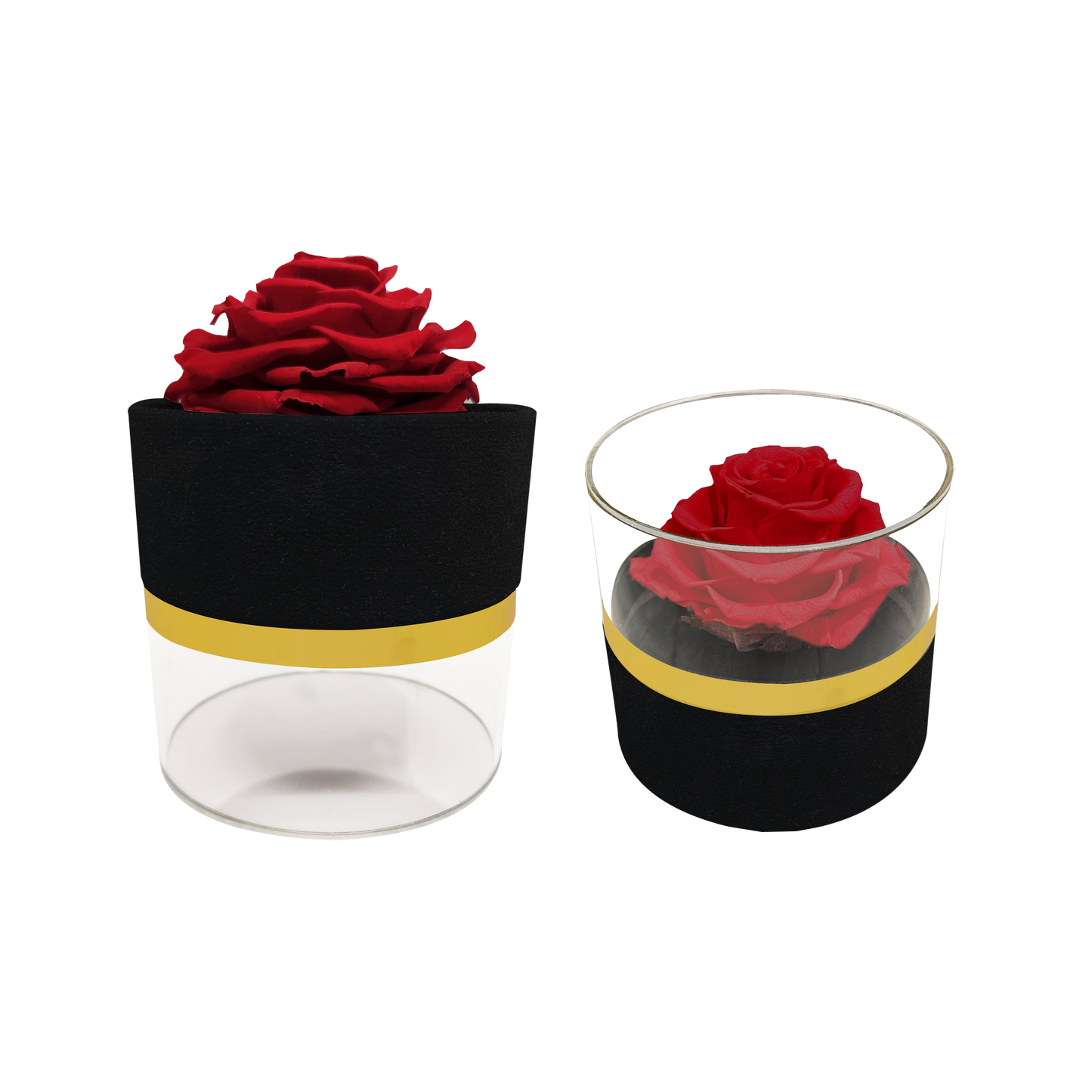 Luxury 1 Jumbo Preserved Rose in Round Box with Acrylic Top | Elegant Floral Arrangement for Special Occasions