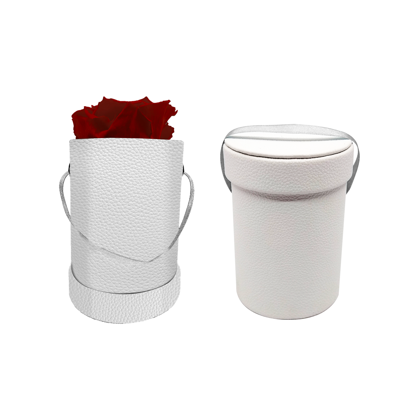 Luxury 1 XL Preserved Rose in Round Box Elevator System | Elegant Floral Arrangement for Special Occasions