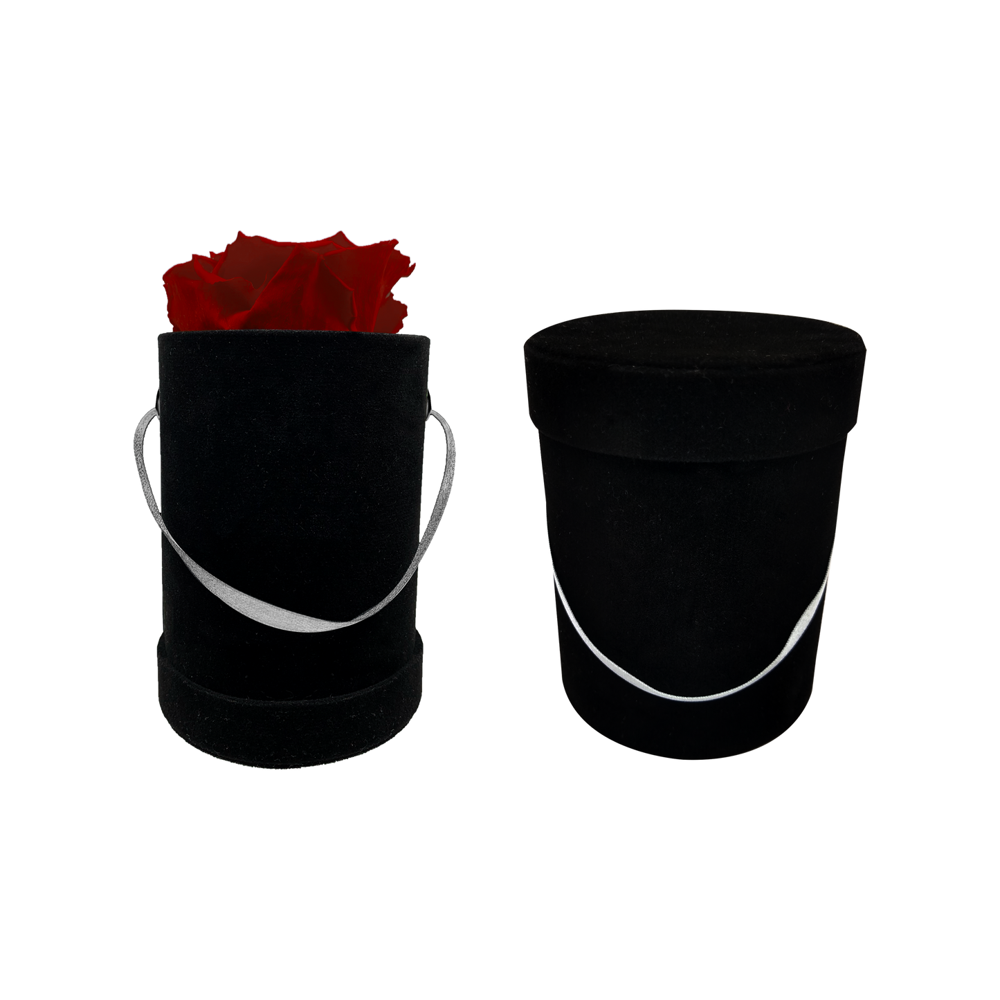 Luxury 1 XL Preserved Rose in Round Box Elevator System | Elegant Floral Arrangement for Special Occasions
