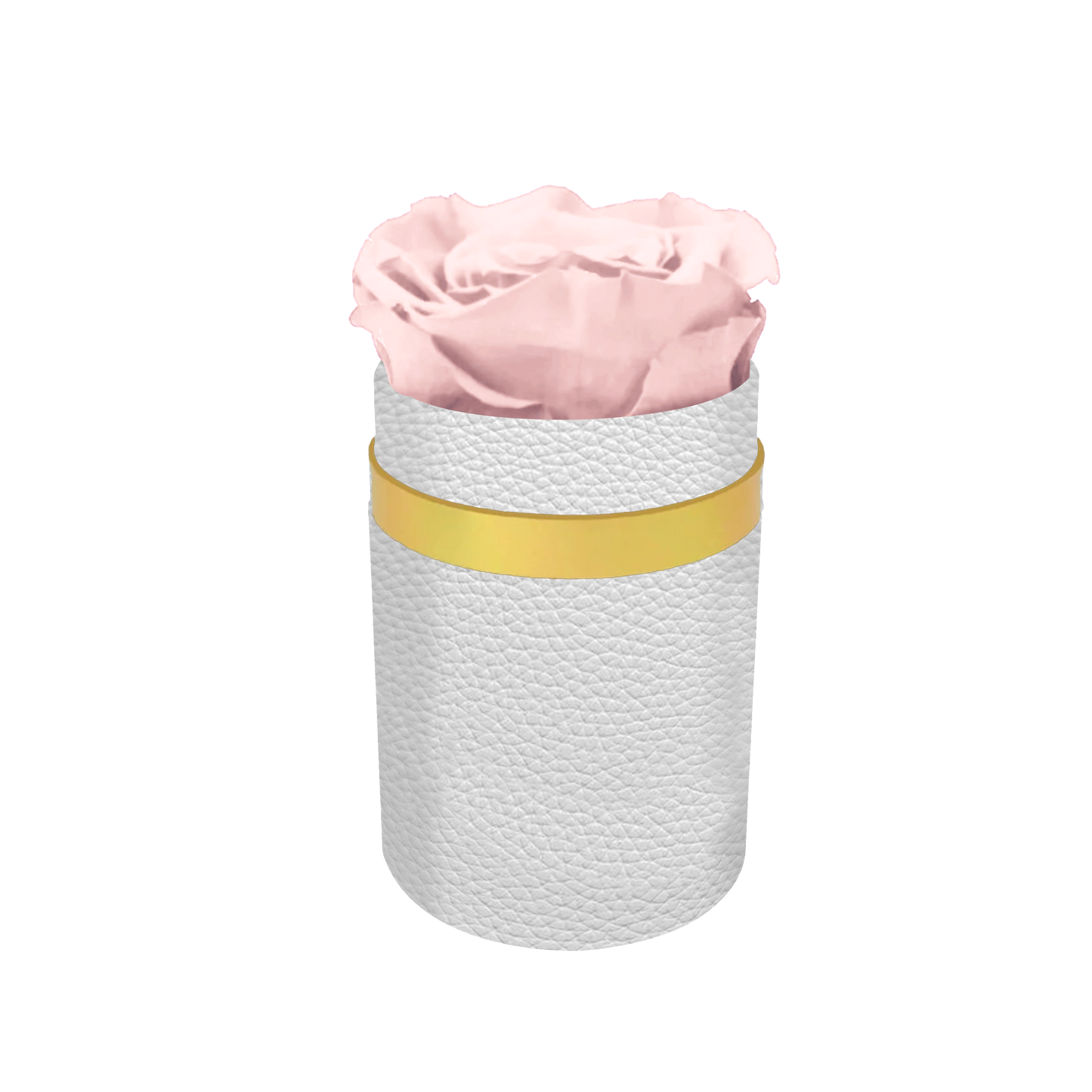 Luxury 1 XL Preserved Rose in Round Box - Stock