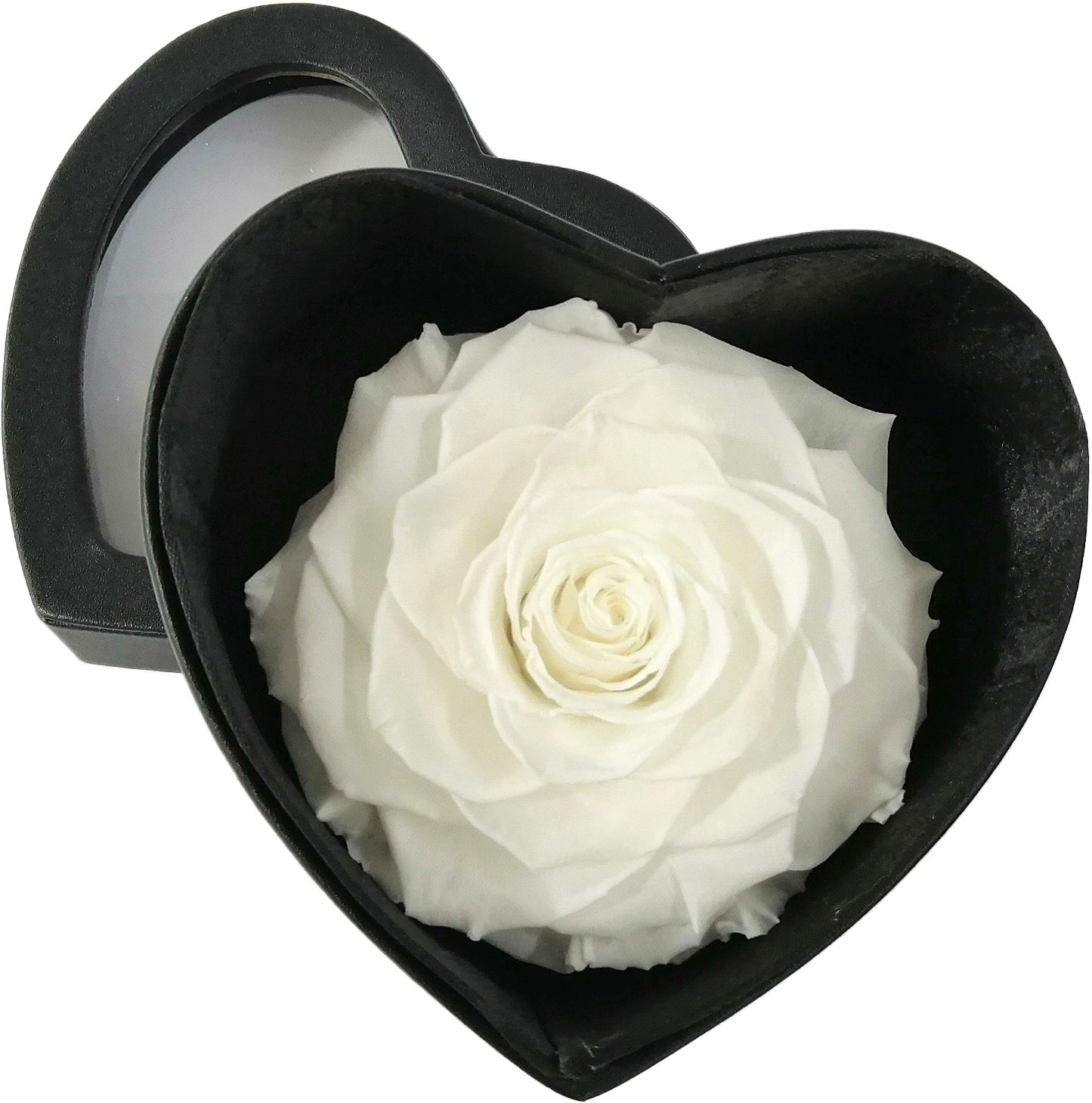 GB10 - BONITA - Available in all of our color range - BMade