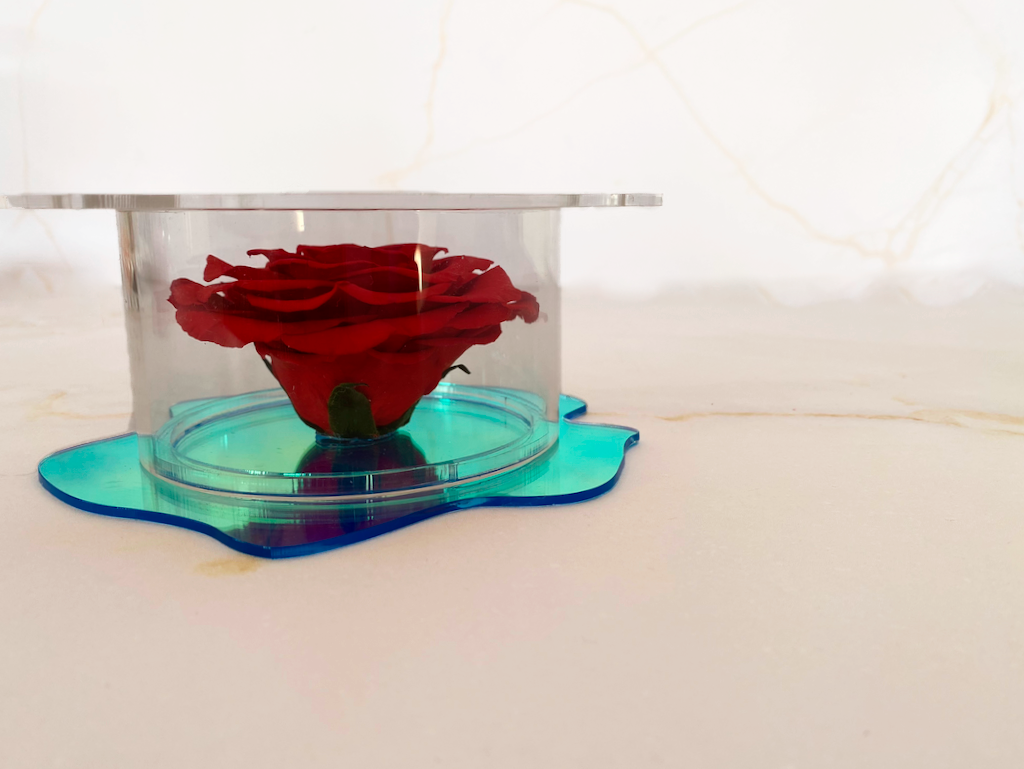 LUXURY 1 PRESERVED ROSE ARRANGEMENT XXL BONITA - ACRYLIC GIFT BOX