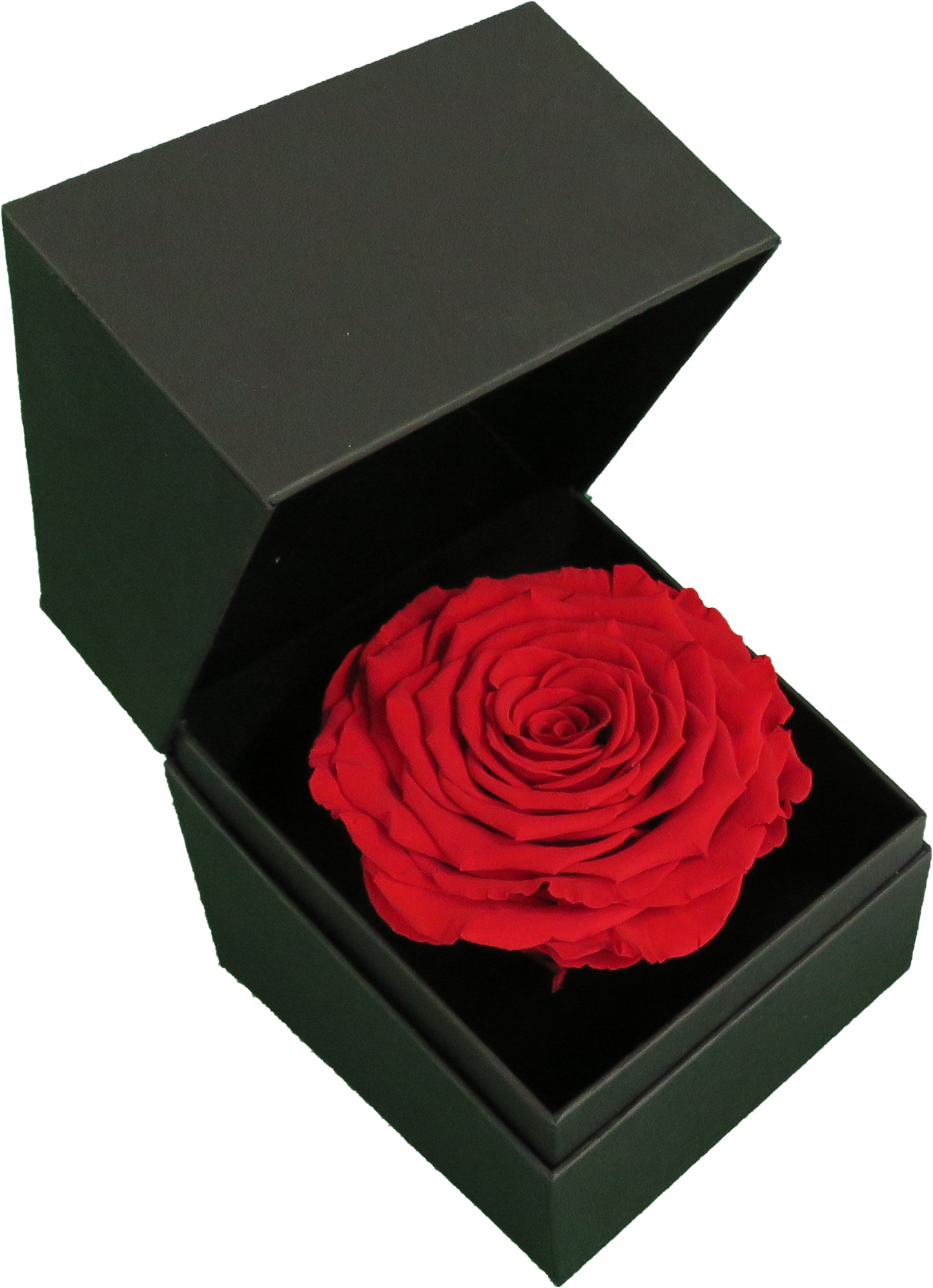 LUXURY 1 PRESERVED ROSE ARRANGEMENT XL - GIFT BOX - BMade