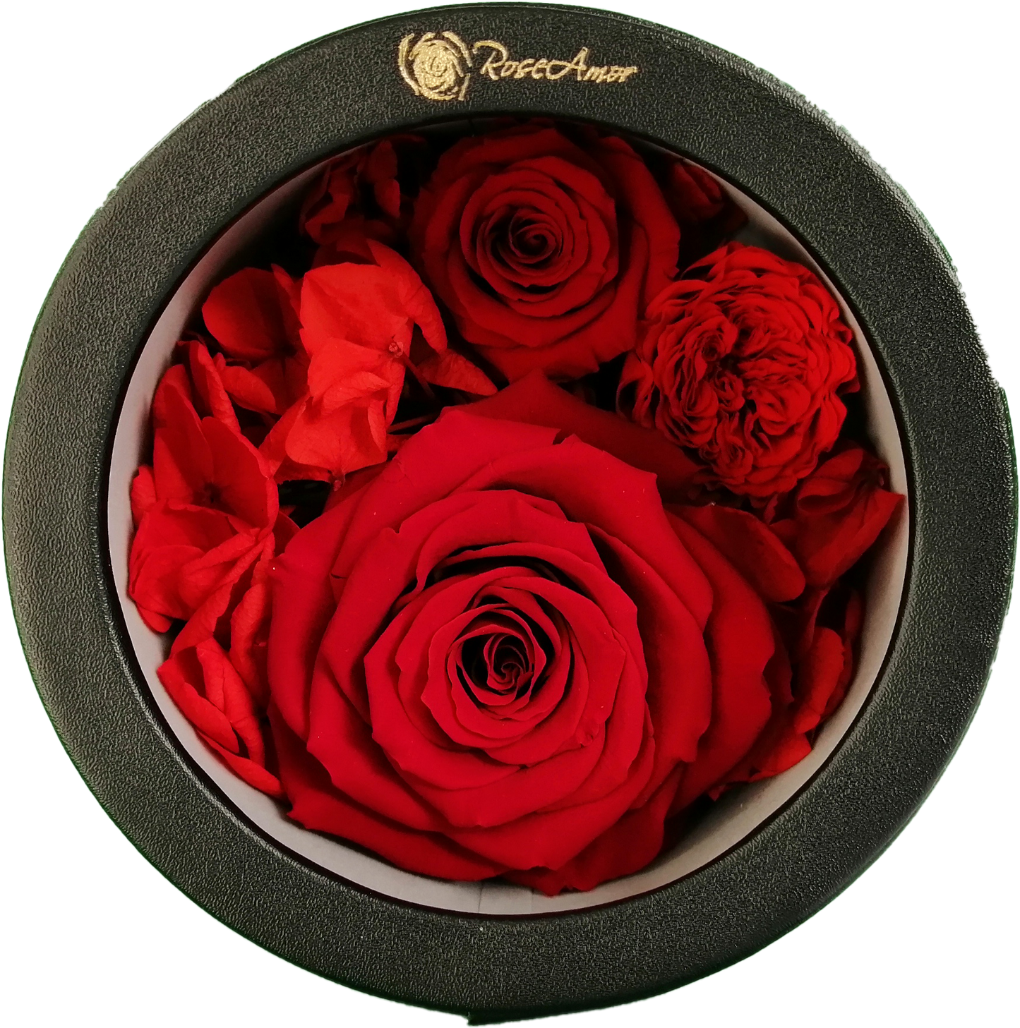 LUXURY 1 PRESERVED ROSE ARRANGEMENT XL - CHANCHITO GIFT BOX - BMade