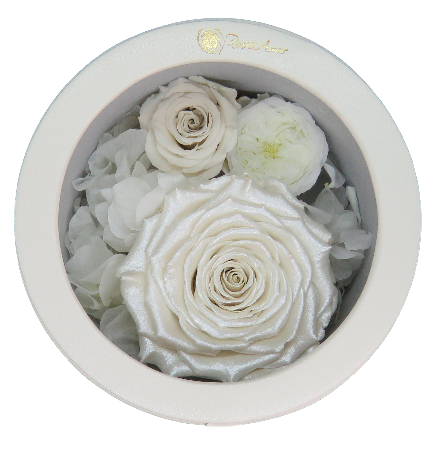 LUXURY 1 PRESERVED ROSE ARRANGEMENT XL - CHANCHITO GIFT BOX - BMade