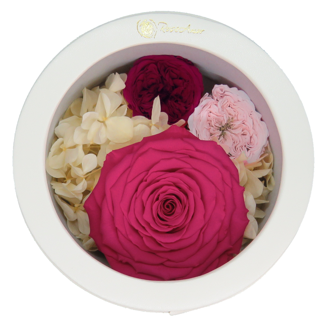 LUXURY 1 PRESERVED ROSE ARRANGEMENT XL - CHANCHITO GIFT BOX - BMade