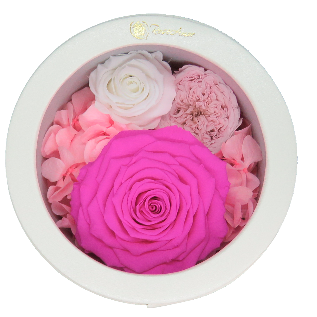 LUXURY 1 PRESERVED ROSE ARRANGEMENT XL - CHANCHITO GIFT BOX - BMade