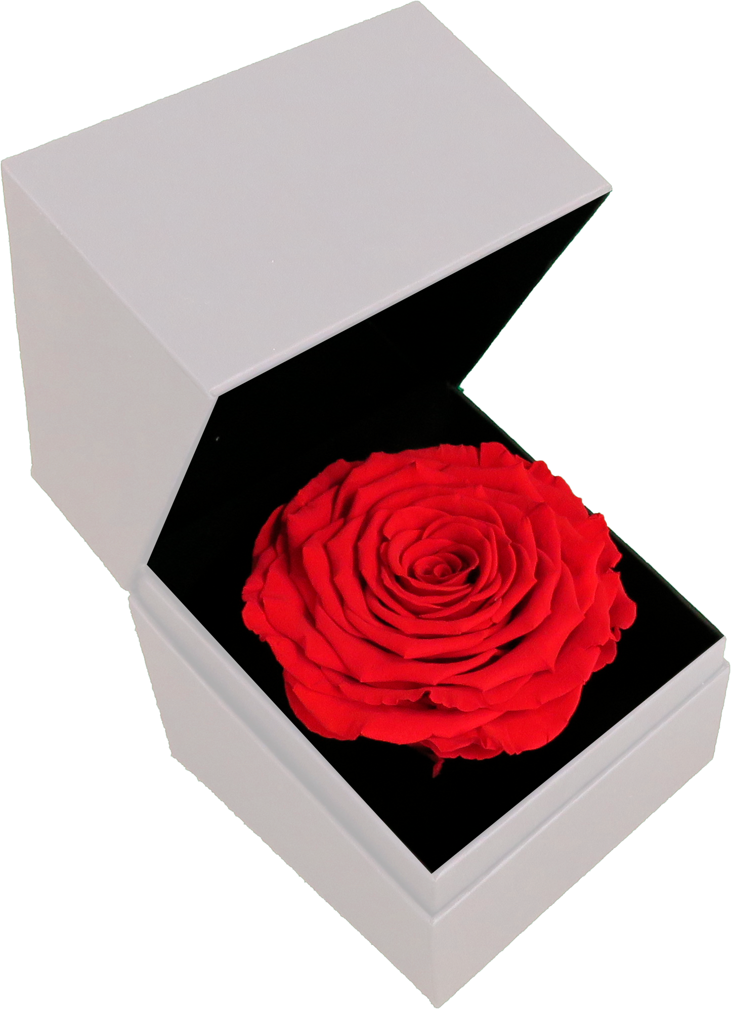 LUXURY 1 PRESERVED ROSE ARRANGEMENT XL - GIFT BOX - BMade