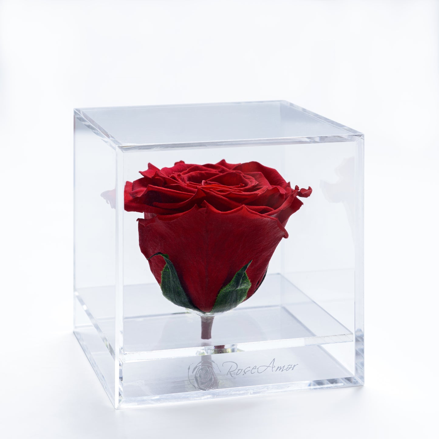 LUXURY 1 PRESERVED ROSE ARRANGEMENT XL - ACRYLIC GIFT PU LEATHER BOX - BMade