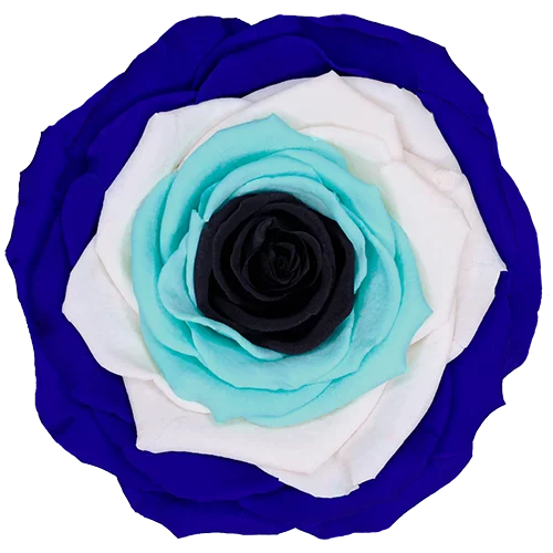 XL Preserved Roses Rainbow - Pack of 6 - BMade