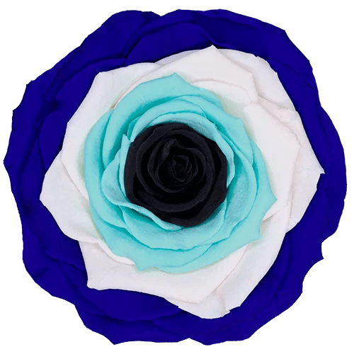 BELLA Preserved Roses Rainbow - Pack 4 - BMade