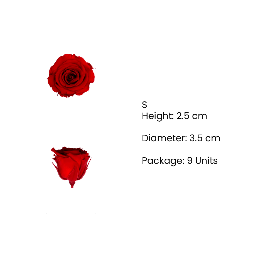 S Preserved Roses Bicolors - BMade