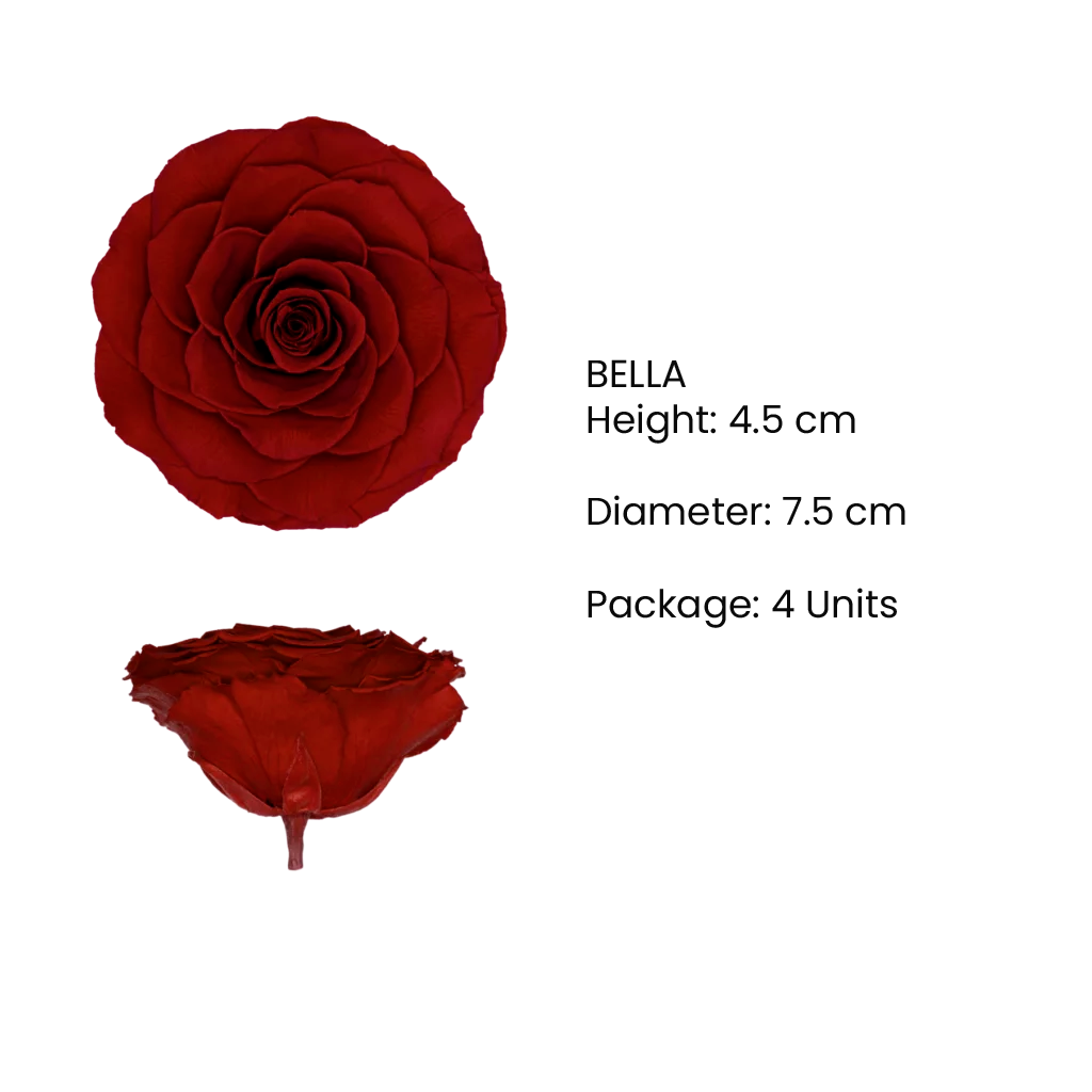 BELLA Preserved Roses Diamond - Pack 4