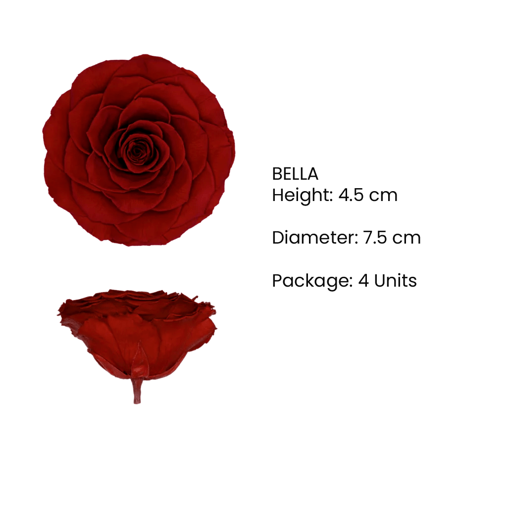 BELLA Preserved Roses Zebra - Pack 4 - BMade