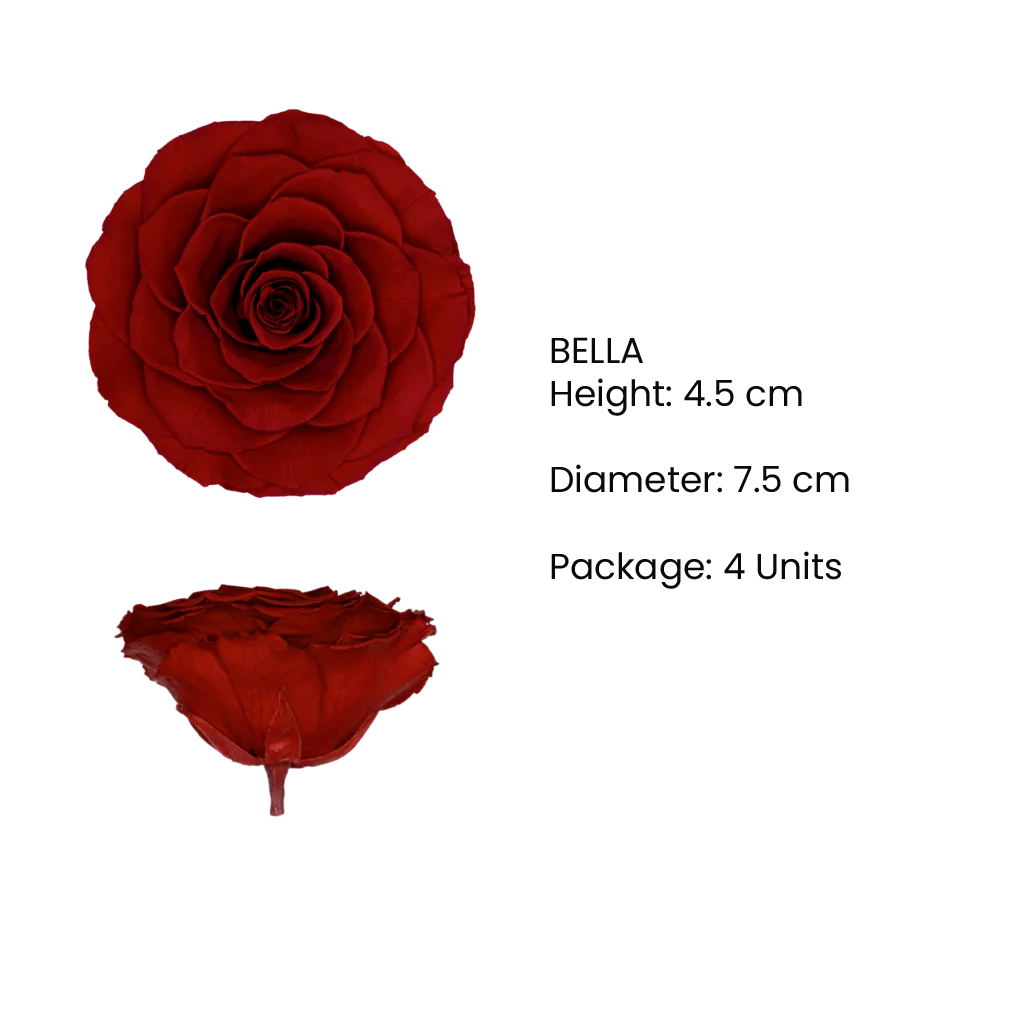 XL Preserved Roses Metallic - Pack of 6 - BMade