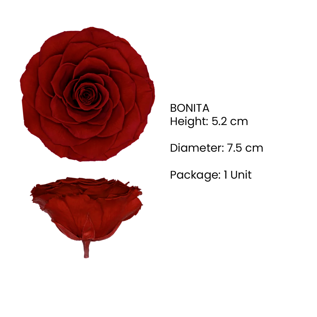 BONITA Preserved Roses Satin - Pack 1