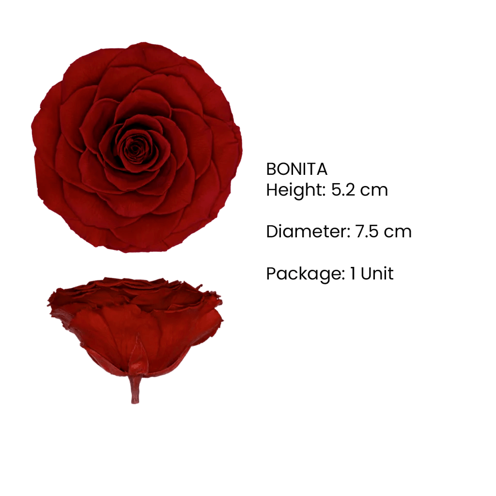 BONITA Preserved Roses Diamond - Pack 1 - BMade