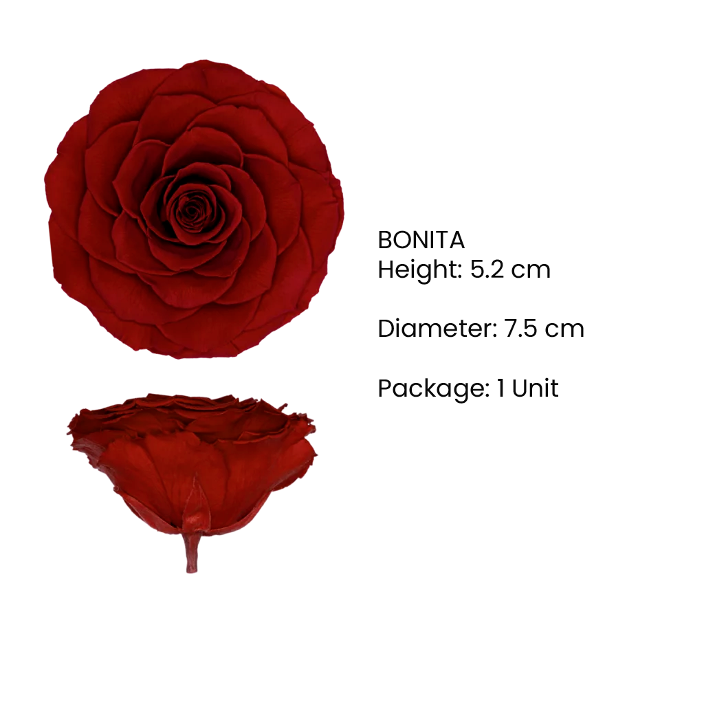BONITA Preserved Roses Zebra - Pack 1 - BMade