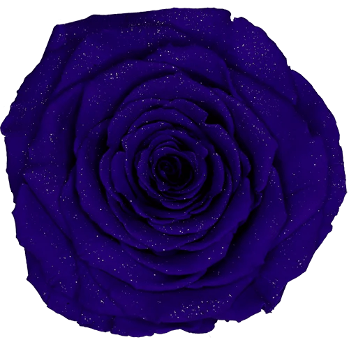 BONITA Preserved Roses Diamond - Pack 1 - BMade