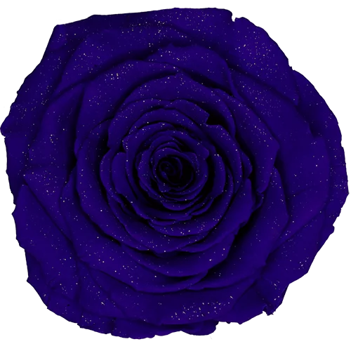 LL+ Preserved Roses Diamond - Pack of 6 - BMade
