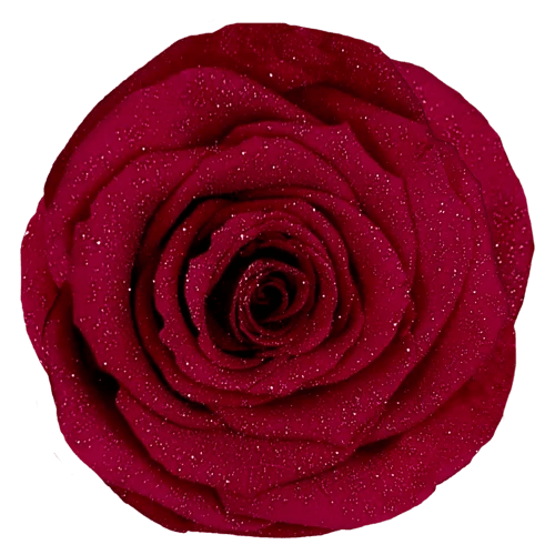 BONITA Preserved Roses Diamond - Pack 1 - BMade