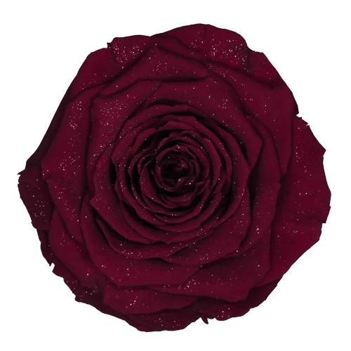 BONITA Preserved Roses Diamond - Pack 1 - BMade