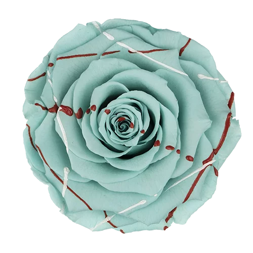 XL Preserved Roses Festiva - Pack of 6 - BMade