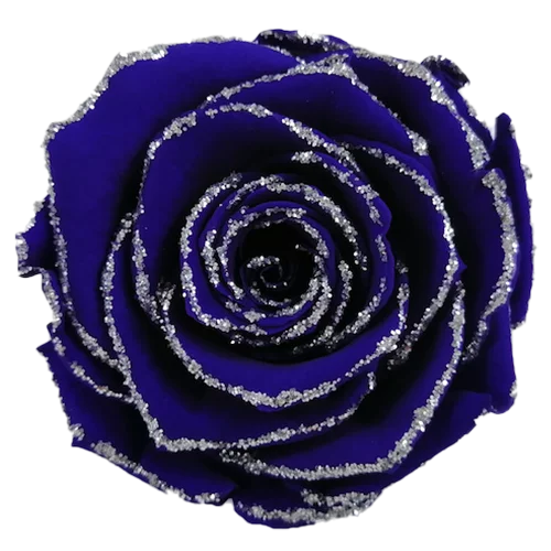 XL Preserved Roses Glitter - Pack of 6 - BMade