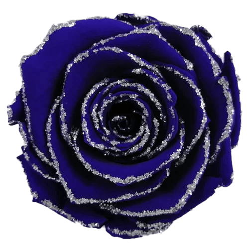 BELLA Preserved Roses Glitter - Pack 4 - BMade