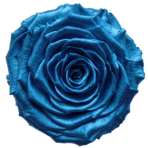 BELLA Preserved Roses Metallic - Pack 4 - BMade