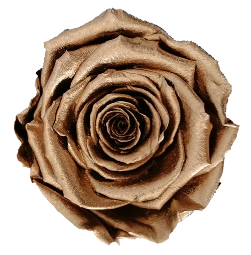 XL Preserved Roses Metallic - Pack of 6 - BMade