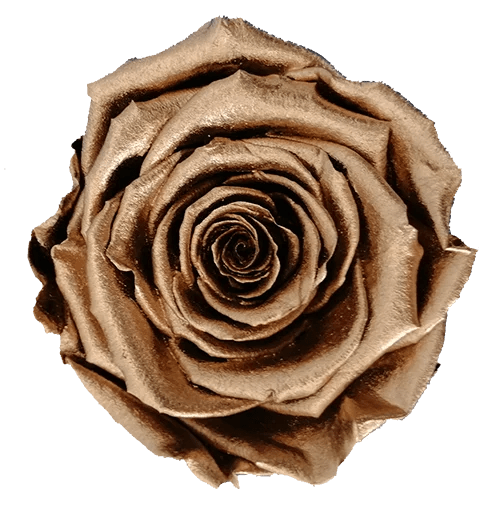BELLA Preserved Roses Metallic - Pack 4 - BMade