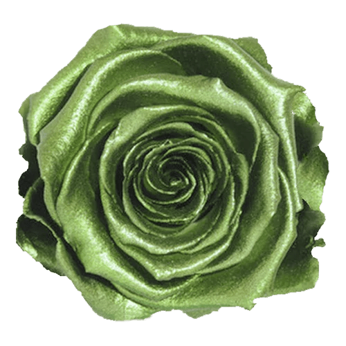 BELLA Preserved Roses Metallic - Pack 4 - BMade