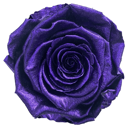 BELLA Preserved Roses Metallic - Pack 4 - BMade