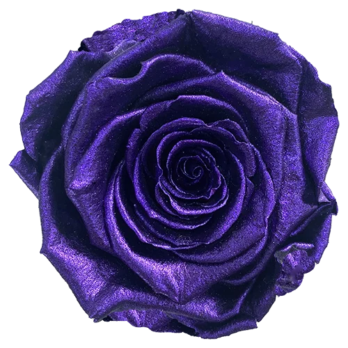 XL Preserved Roses Metallic - Pack of 6 - BMade