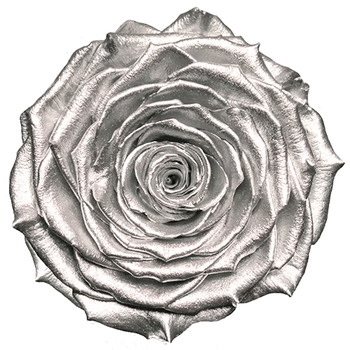 BELLA Preserved Roses Metallic - Pack 4 - BMade