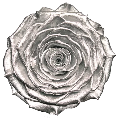 BONITA Preserved Roses Metallic - Pack 1
