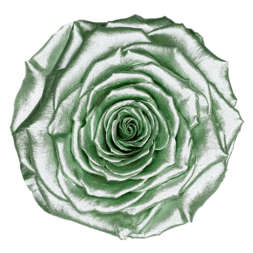 BELLA Preserved Roses Metallic - Pack 4 - BMade