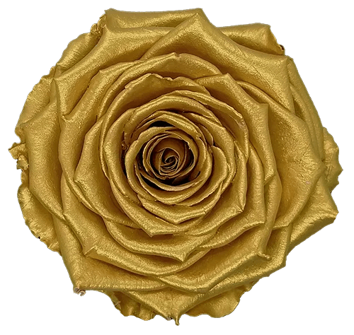 BELLA Preserved Roses Metallic - Pack 4 - BMade