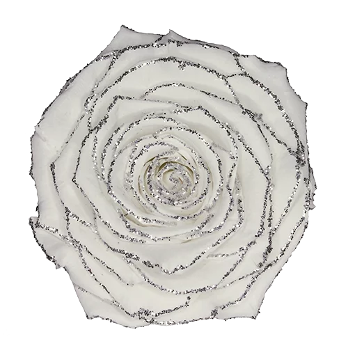 XL Preserved Roses Glitter - Pack of 6 - BMade