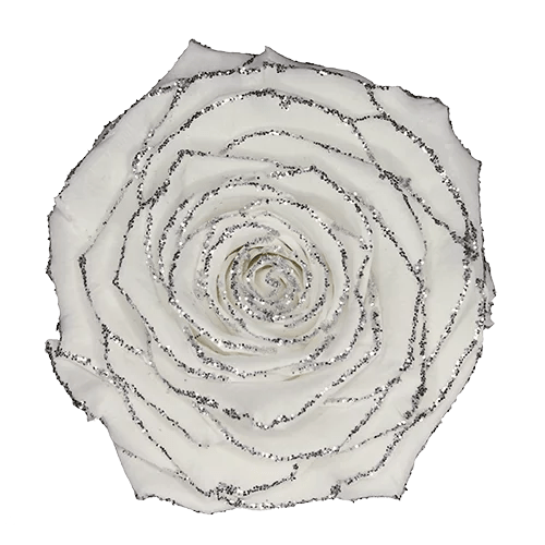 BELLA Preserved Roses Glitter - Pack 4 - BMade