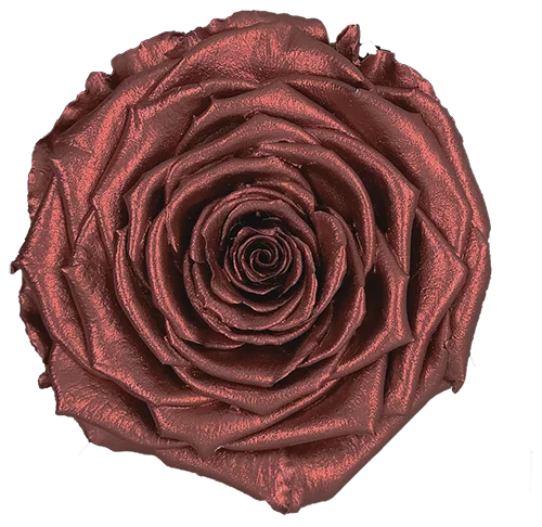 XL Preserved Roses Metallic - Pack of 6 - BMade