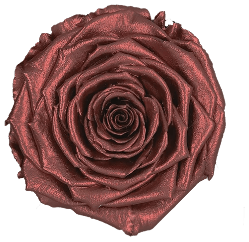 BELLA Preserved Roses Metallic - Pack 4 - BMade
