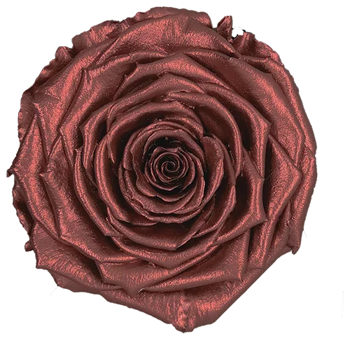BELLA Preserved Roses Metallic - Pack 4