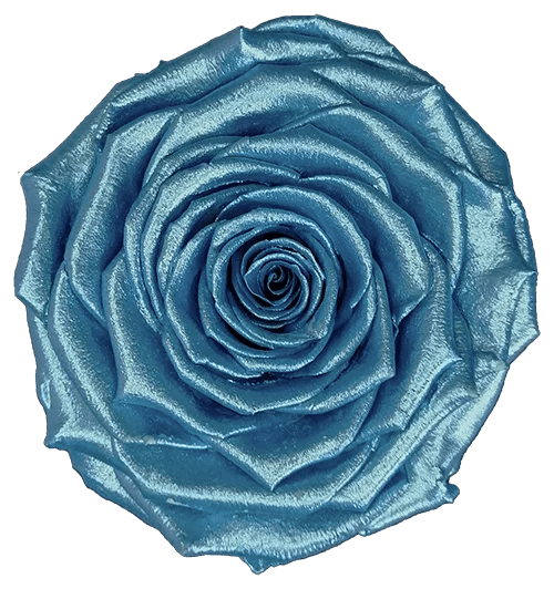 BELLA Preserved Roses Metallic - Pack 4 - BMade